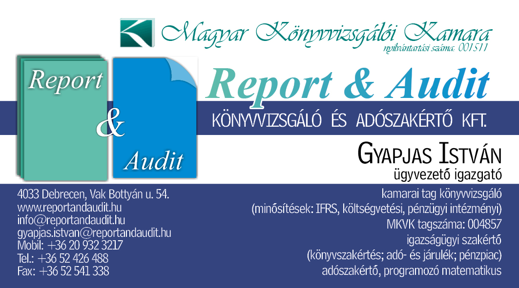 Report Audit nevjegykartya